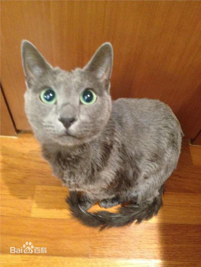 金希澈(Kim HeeChul、キム ヒチョル)的宝贝希范壁纸壁纸