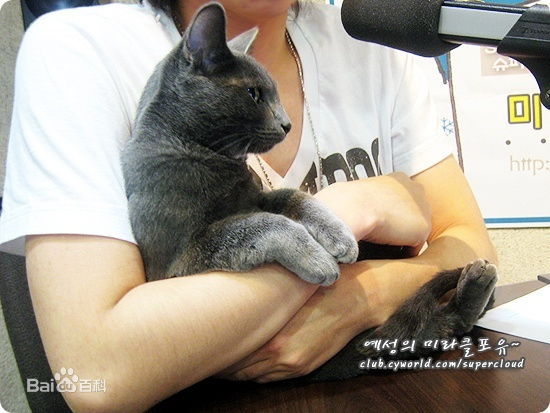 精选金希澈(Kim HeeChul、キム ヒチョル)精彩图册