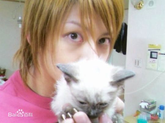 精选金希澈(Kim HeeChul、キム ヒチョル)精彩图册