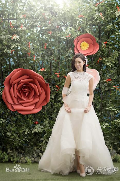 孟真最优质相册