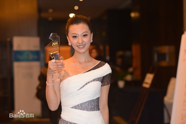 袁中方2013年”金i奖“网络红人奖颁奖礼图片图册