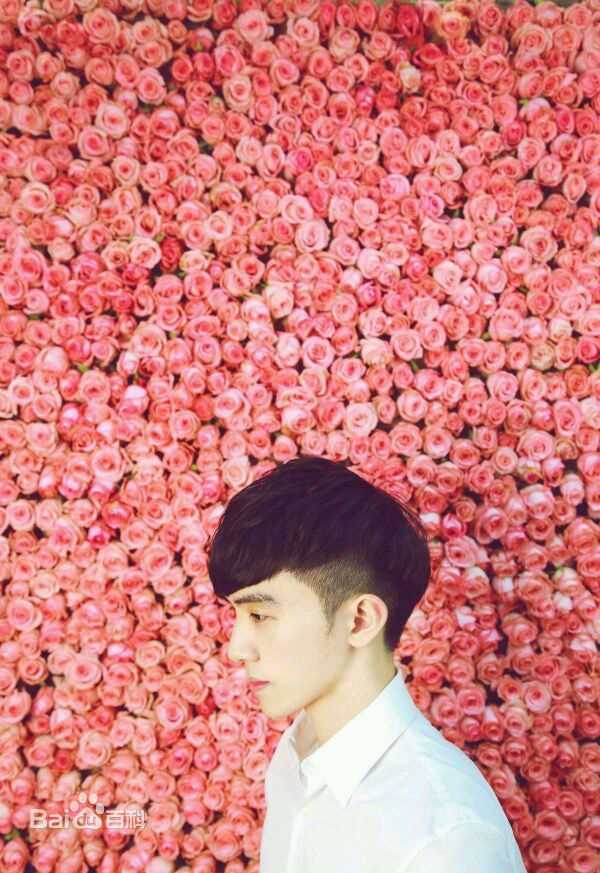 吴大伟(David)精选图册