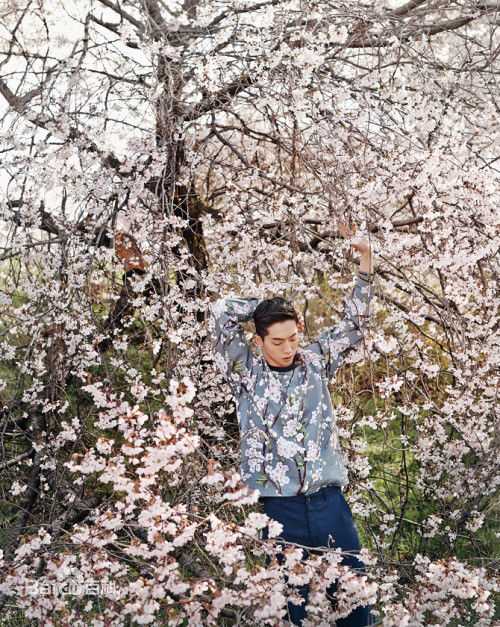 南柱赫(Nam Joo Hyuk)最优质相册