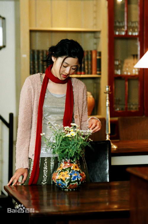 全智贤(Gianna Jun、)雏菊图册