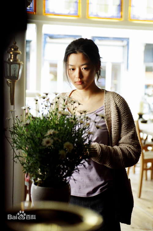 全智贤(Gianna Jun、)雏菊图册