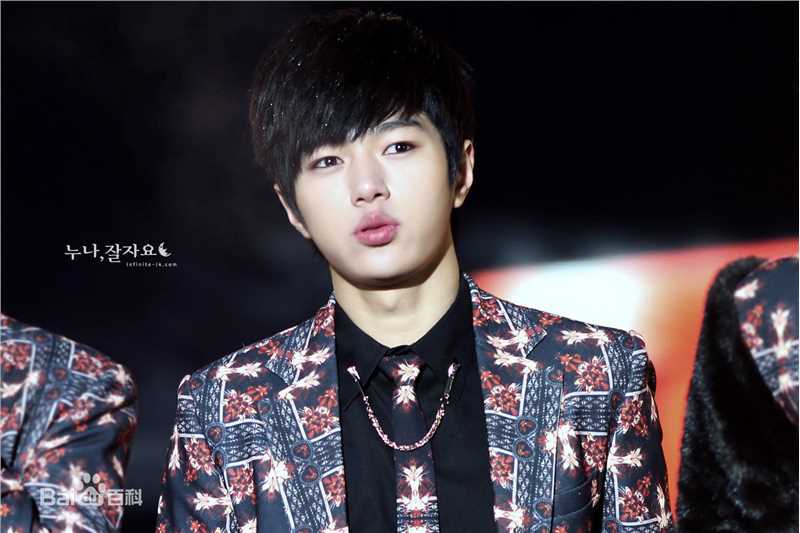 金明洙(，Kim Myung Soo，L， ，エル)饭拍图片壁纸壁纸