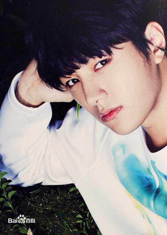 最全金明洙(，Kim Myung Soo，L， ，エル)壁纸