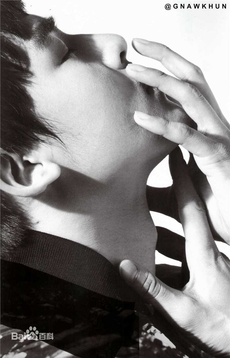 尼坤(Nichkhun Buck Horvejkul)2012壁纸壁纸