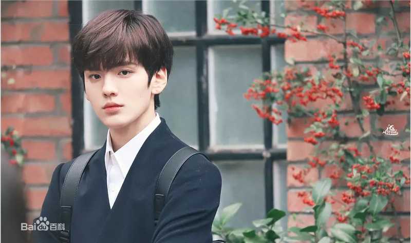 最全毕雯珺(Bevan)在《淑女飘飘拳》卫楚中的壁纸