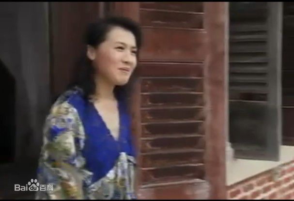 李媛媛世纪人生最优质剧照