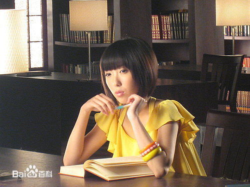 蔡颐榛(Bernice)广告前后照片