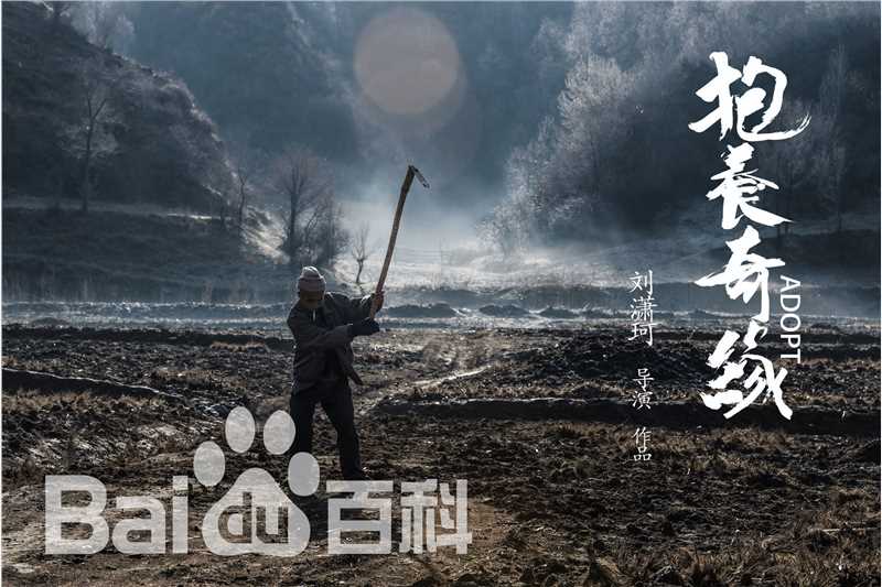 刘潇珂第2届丝绸之路国际电影节壁纸壁纸