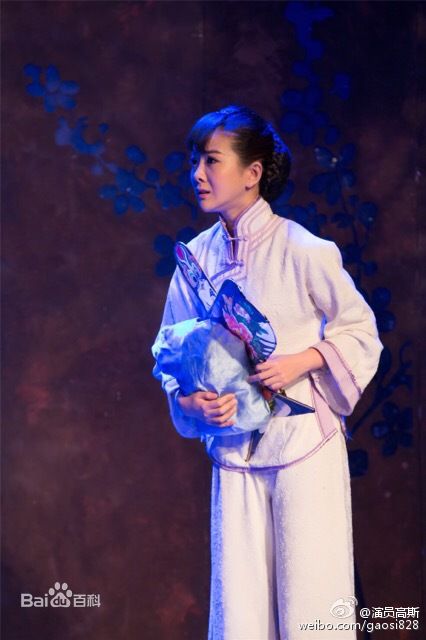 高斯(Gaosi)最全剧照