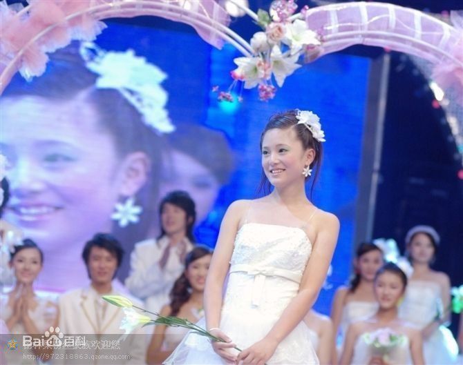 杨林果节目录制壁纸壁纸