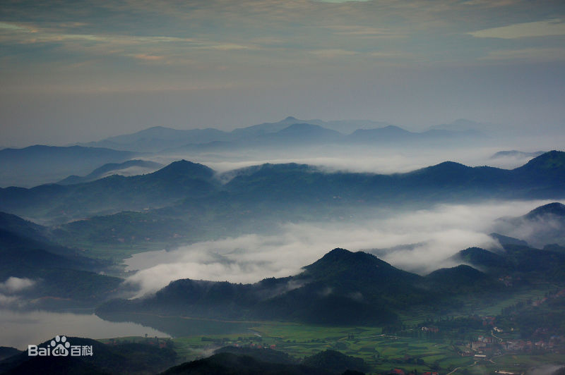 最新梁音性感图片