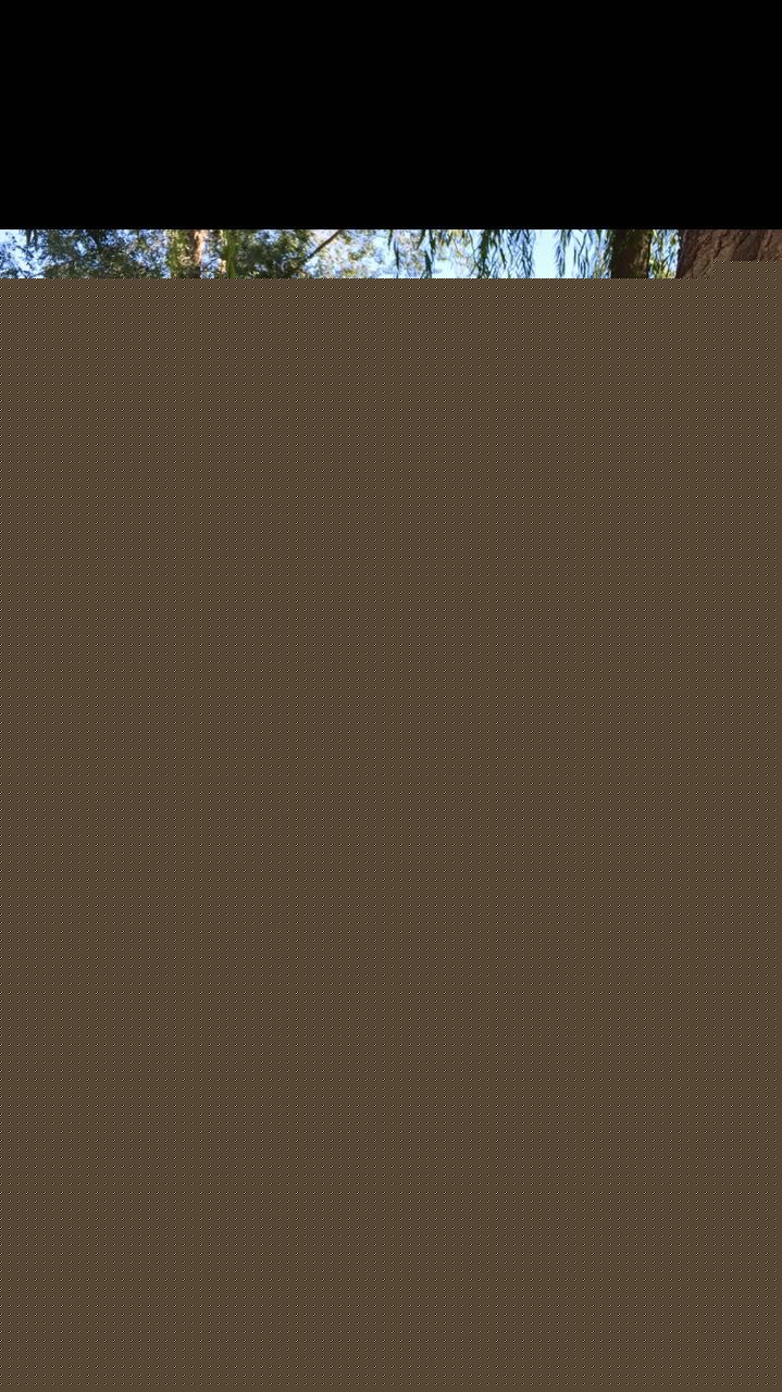 郑心潼精彩剧照