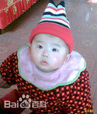 张梓宸精选集图册