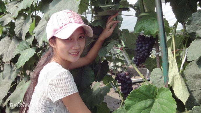 关慧卿(Lesley)日常美图素颜照壁纸