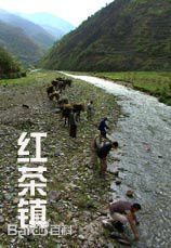 最新黄湄媚壁纸