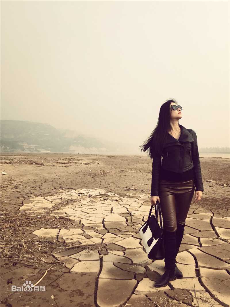 沙慧最新个人相册壁纸壁纸