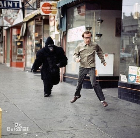 伍迪·艾伦(Woody Allen)精彩图册