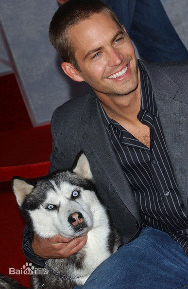 高清保罗·沃克(Paul Walker)性感图片