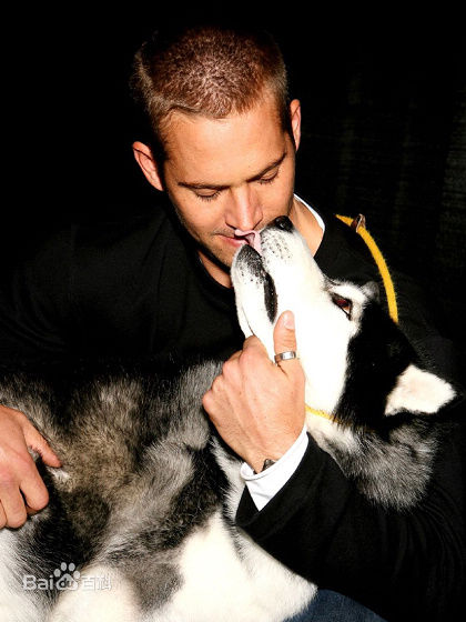 高清保罗·沃克(Paul Walker)性感图片