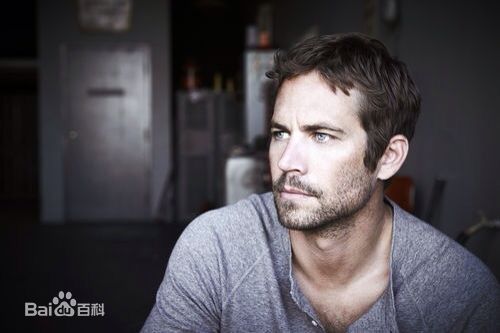 保罗·沃克(Paul Walker)PAUL WALKER壁纸壁纸