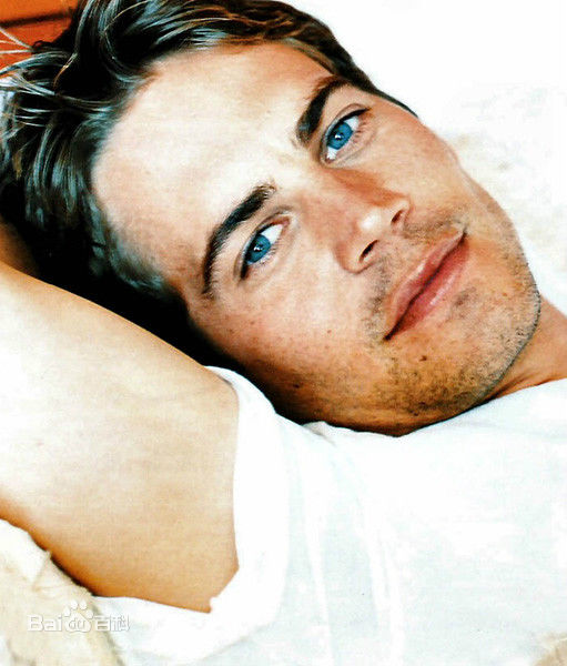 保罗·沃克(Paul Walker)PAUL WALKER壁纸壁纸