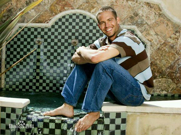 保罗·沃克(Paul Walker)PAUL WALKER壁纸壁纸