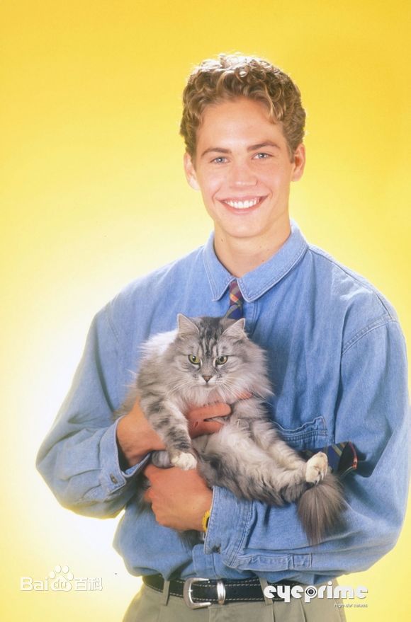 保罗·沃克(Paul Walker)早年的保罗性感图片图集