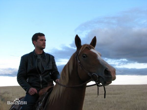 最全乔舒亚·杰克逊(Joshua Jackson)精彩图册