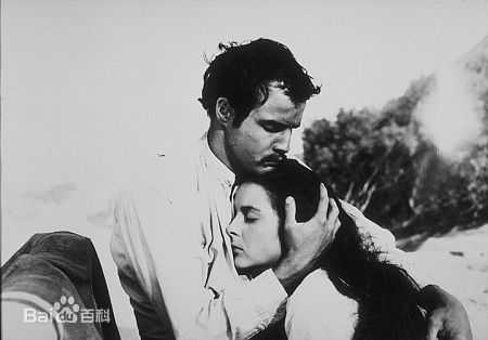 最优质马龙·白兰度(Marlon Brando)生活照