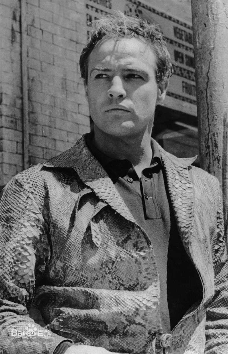 马龙·白兰度(Marlon Brando)精彩图册