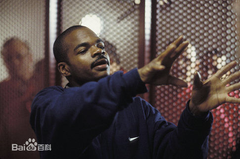 最全F·加里·格雷(F. Gary Gray)壁纸