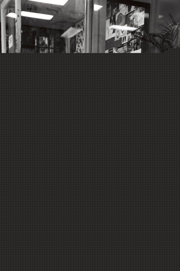 高清迈克尔·安格拉诺(Michael Anthony Angarano)精彩图册