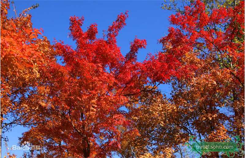 高清詹妮弗·洛佩兹(Jennifer Lynn Lopez)精彩图册