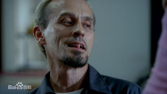 罗伯特·克耐普(Robert Knepper)T-Bag图册