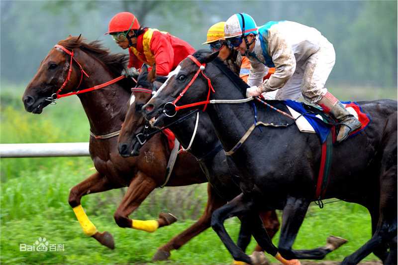 高清琼·艾伦(Joan Allen)图片