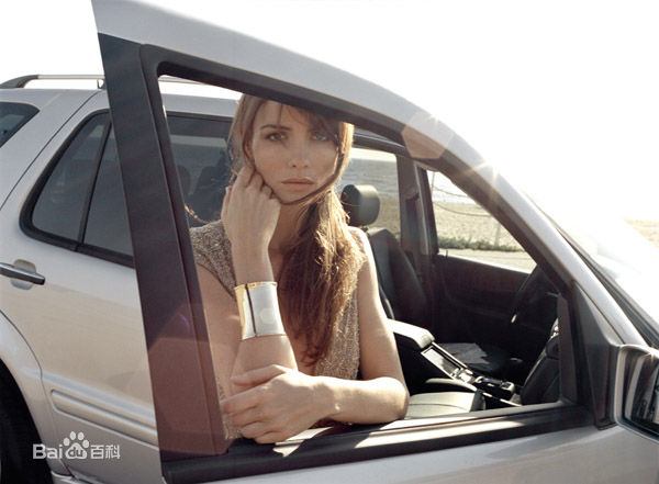 最优质萨弗蓉·布罗斯(Saffron Burrows)精彩图册