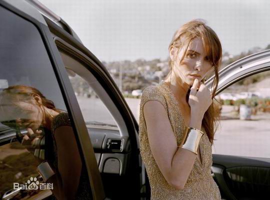 最优质萨弗蓉·布罗斯(Saffron Burrows)精彩图册