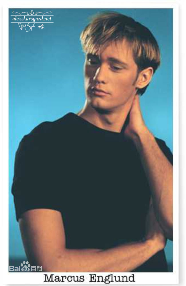 最全亚历山大·斯卡斯加德(Alexander Skarsgard)精彩图册