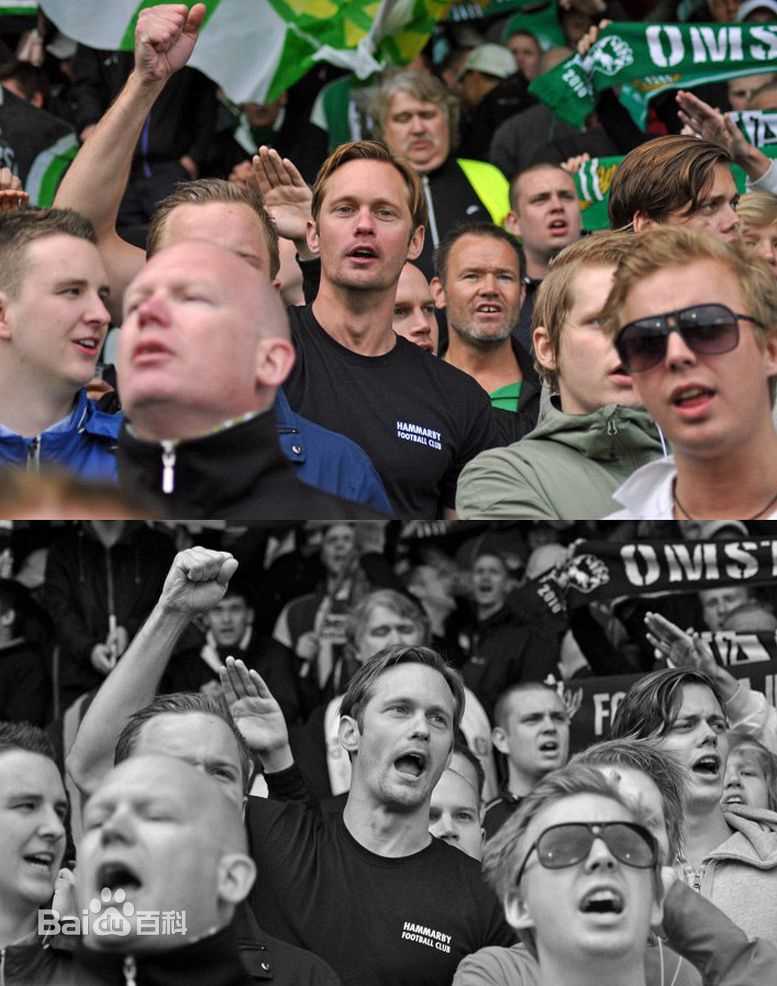 亚历山大·斯卡斯加德(Alexander Skarsgard)精彩图册