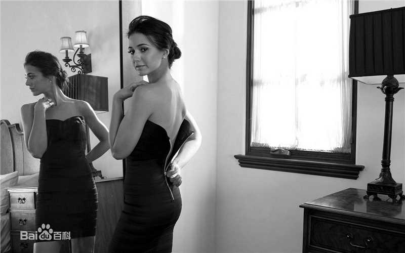 高清埃曼纽尔·施莱琪(Emmanuelle Chriqui)精彩图册