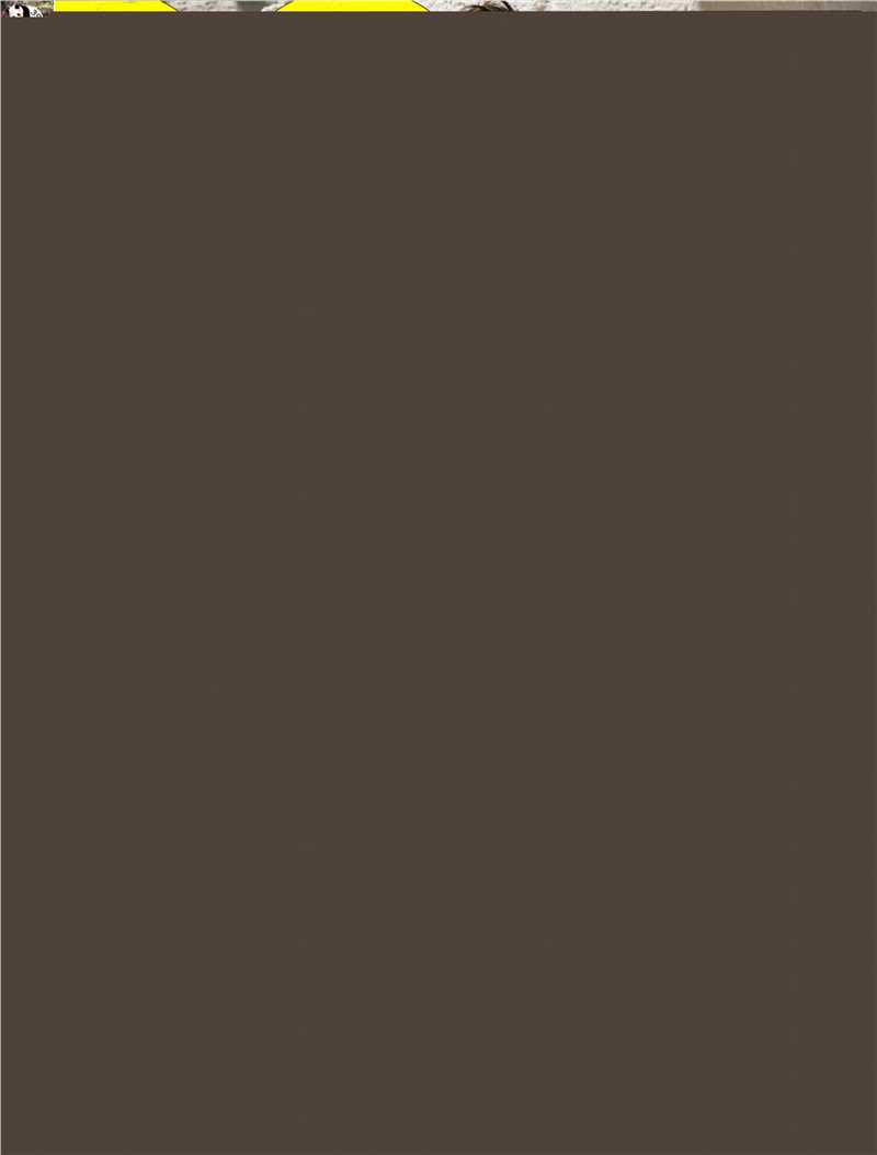 精选杰西卡·贝尔(Jessica Biel、Jessica Claire Biel)精彩图册