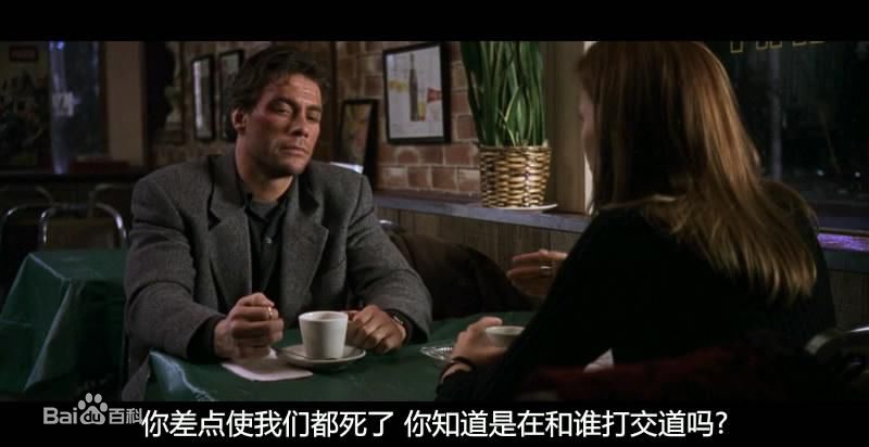 精选娜塔莎·亨斯屈奇(Natasha Henstridge)精彩图册