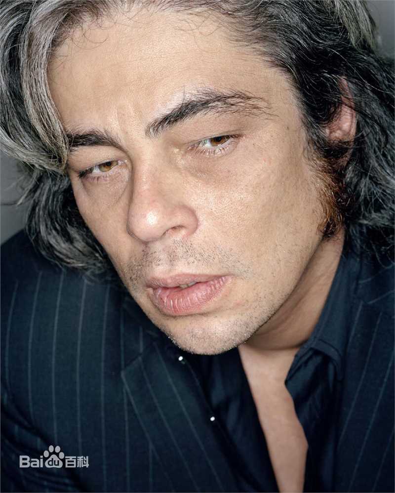 最优质本尼西奥·德尔·托罗(Benicio Del Toro)精彩图册