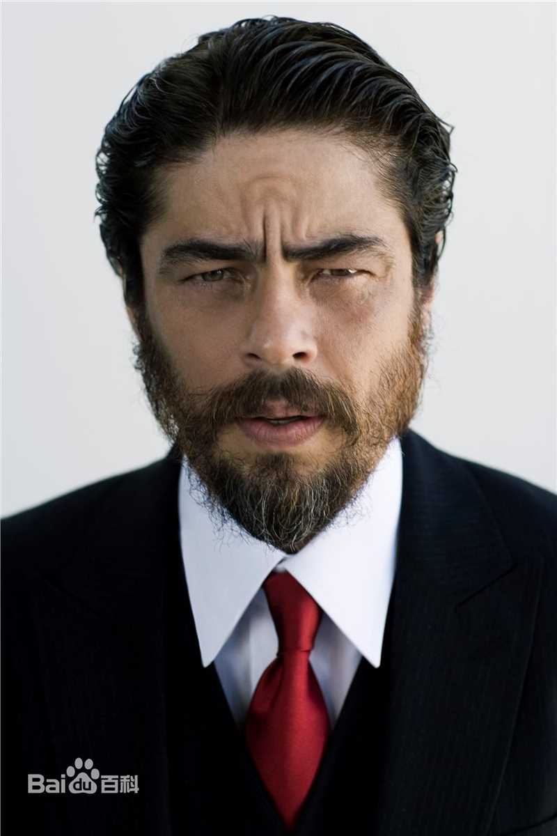 最优质本尼西奥·德尔·托罗(Benicio Del Toro)精彩图册