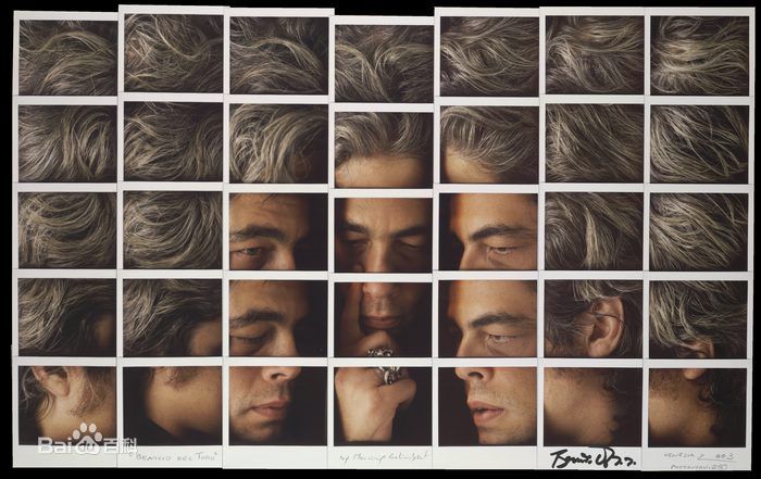 最优质本尼西奥·德尔·托罗(Benicio Del Toro)精彩图册