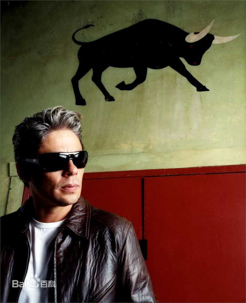 最优质本尼西奥·德尔·托罗(Benicio Del Toro)精彩图册